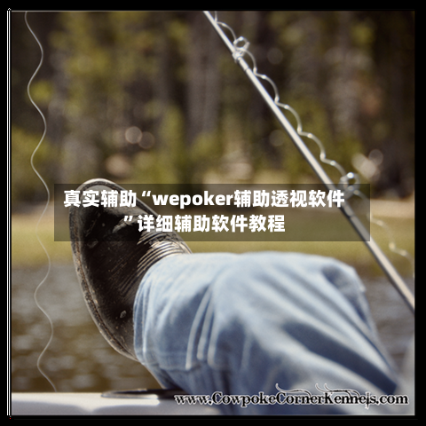 真实辅助“wepoker辅助透视软件”详细辅助软件教程-第2张图片