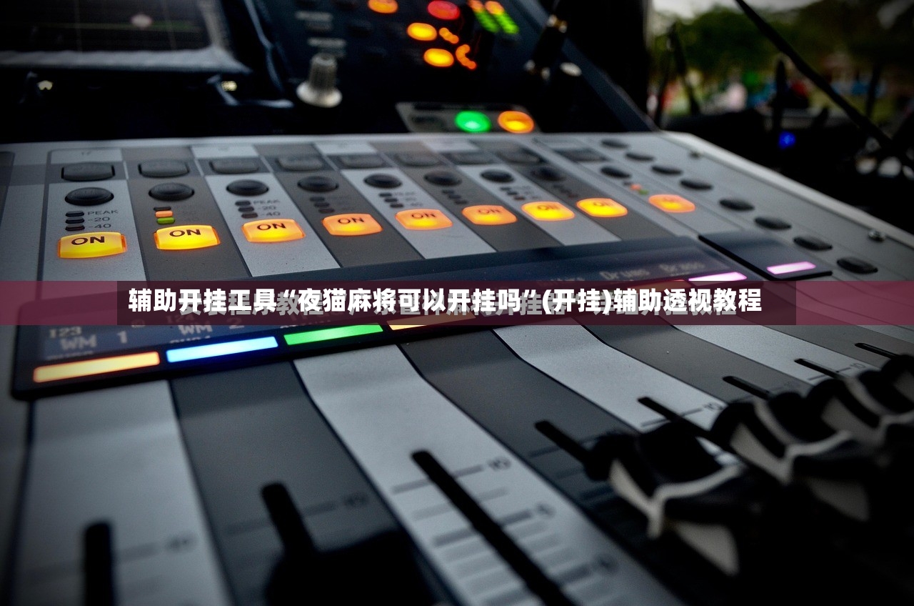 辅助开挂工具“夜猫麻将可以开挂吗”(开挂)辅助透视教程