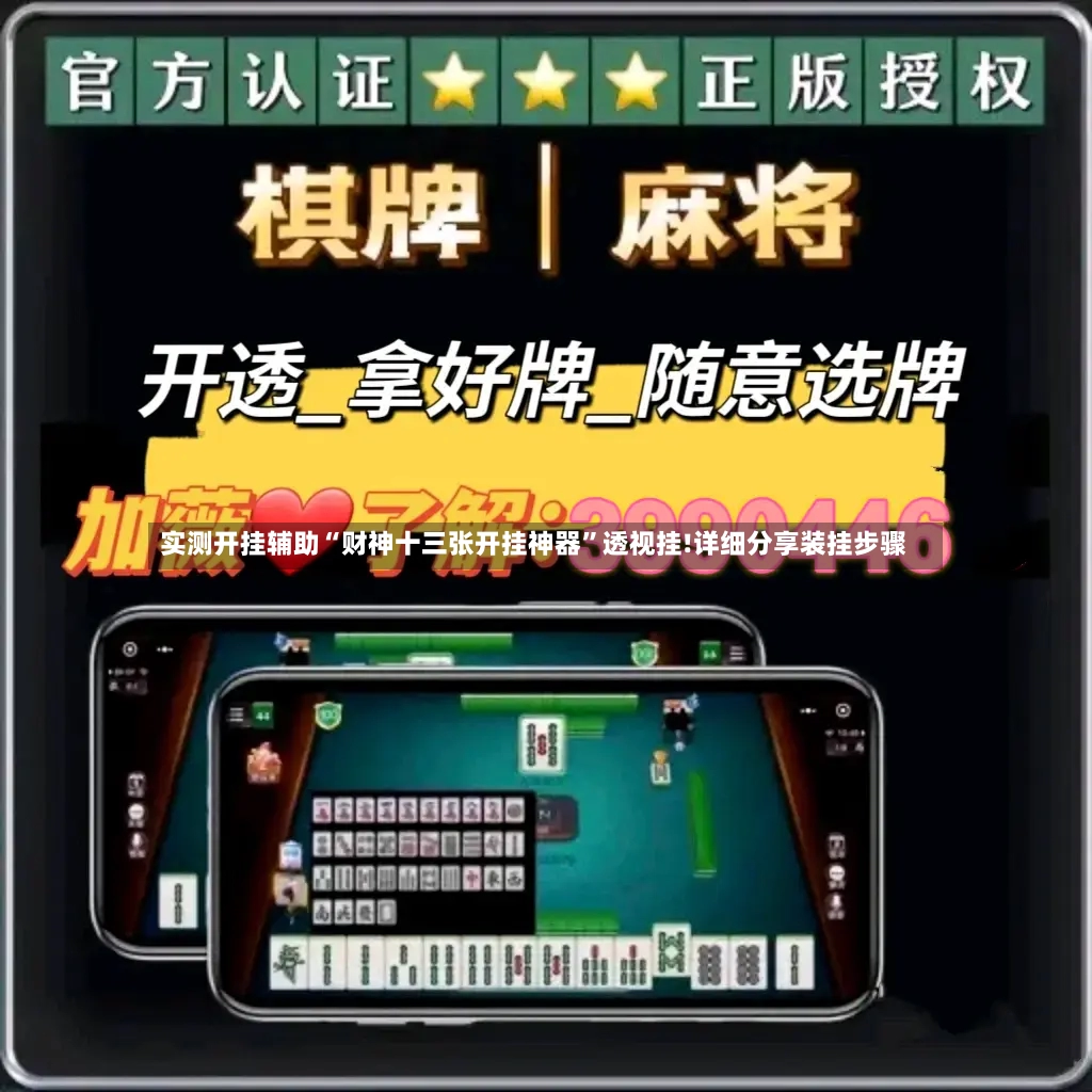 实测开挂辅助“财神十三张开挂神器”透视挂!详细分享装挂步骤-第2张图片