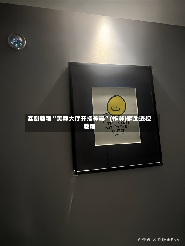 实测教程“芙蓉大厅开挂神器”(作弊)辅助透视教程-第3张图片