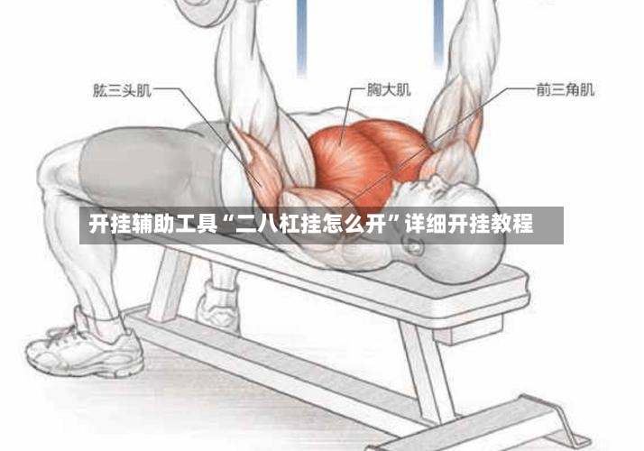 开挂辅助工具“二八杠挂怎么开”详细开挂教程