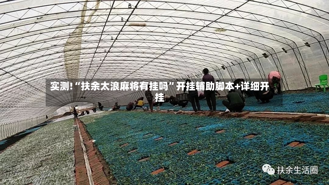 实测!“扶余太浪麻将有挂吗”开挂辅助脚本+详细开挂