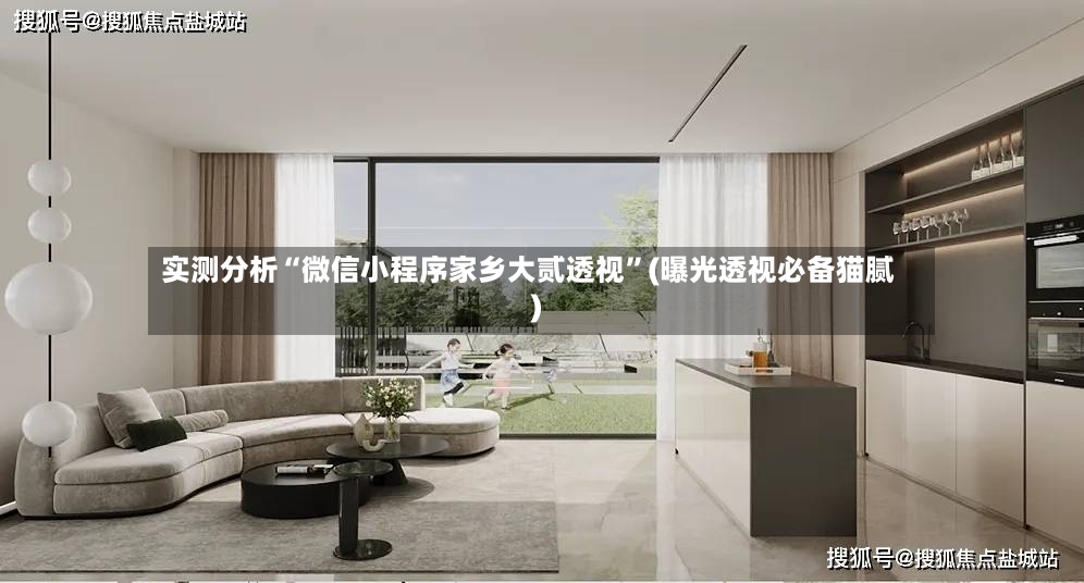 实测分析“微信小程序家乡大贰透视”(曝光透视必备猫腻)-第2张图片