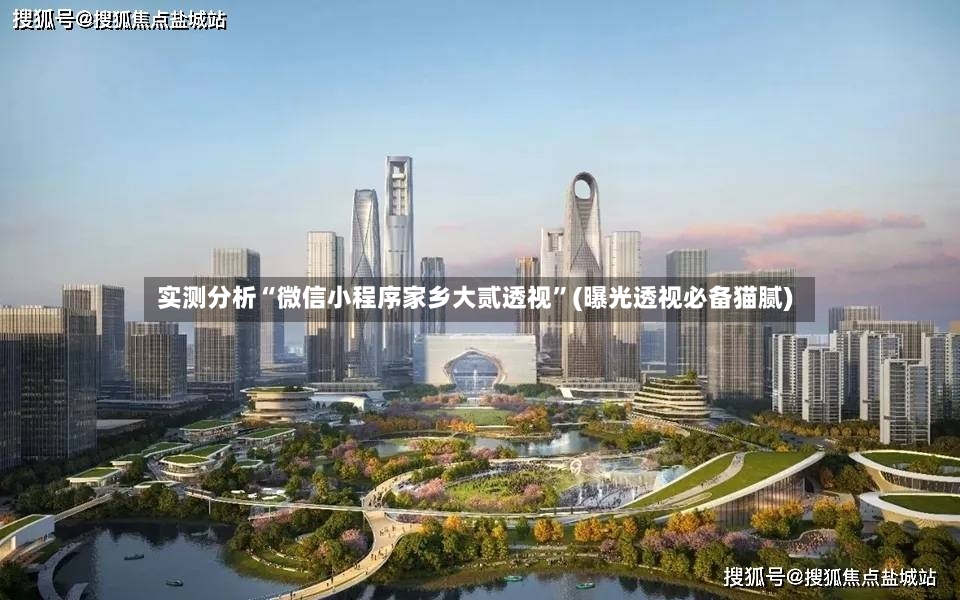 实测分析“微信小程序家乡大贰透视”(曝光透视必备猫腻)-第3张图片