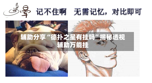 辅助分享“德扑之星有挂吗”揭秘透视辅助万能挂