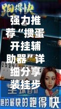 强力推荐“掼蛋开挂辅助器”详细分享装挂步骤-第2张图片