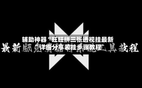 辅助神器“旺旺拼三张透视挂最新”详细分享装挂步骤教程-第2张图片