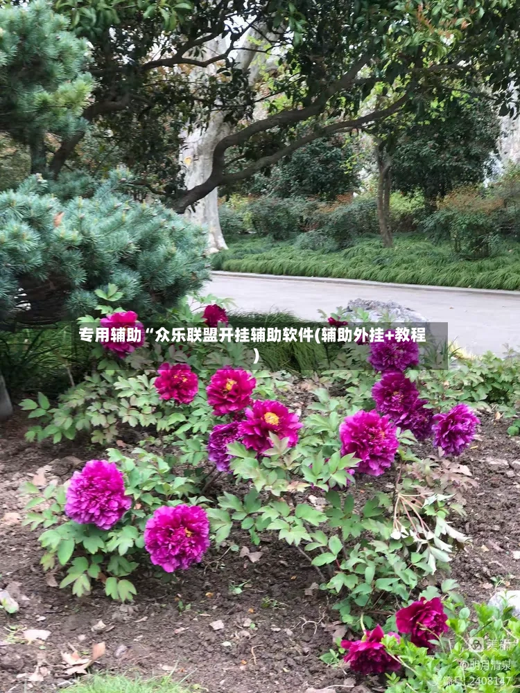 专用辅助“众乐联盟开挂辅助软件(辅助外挂+教程)