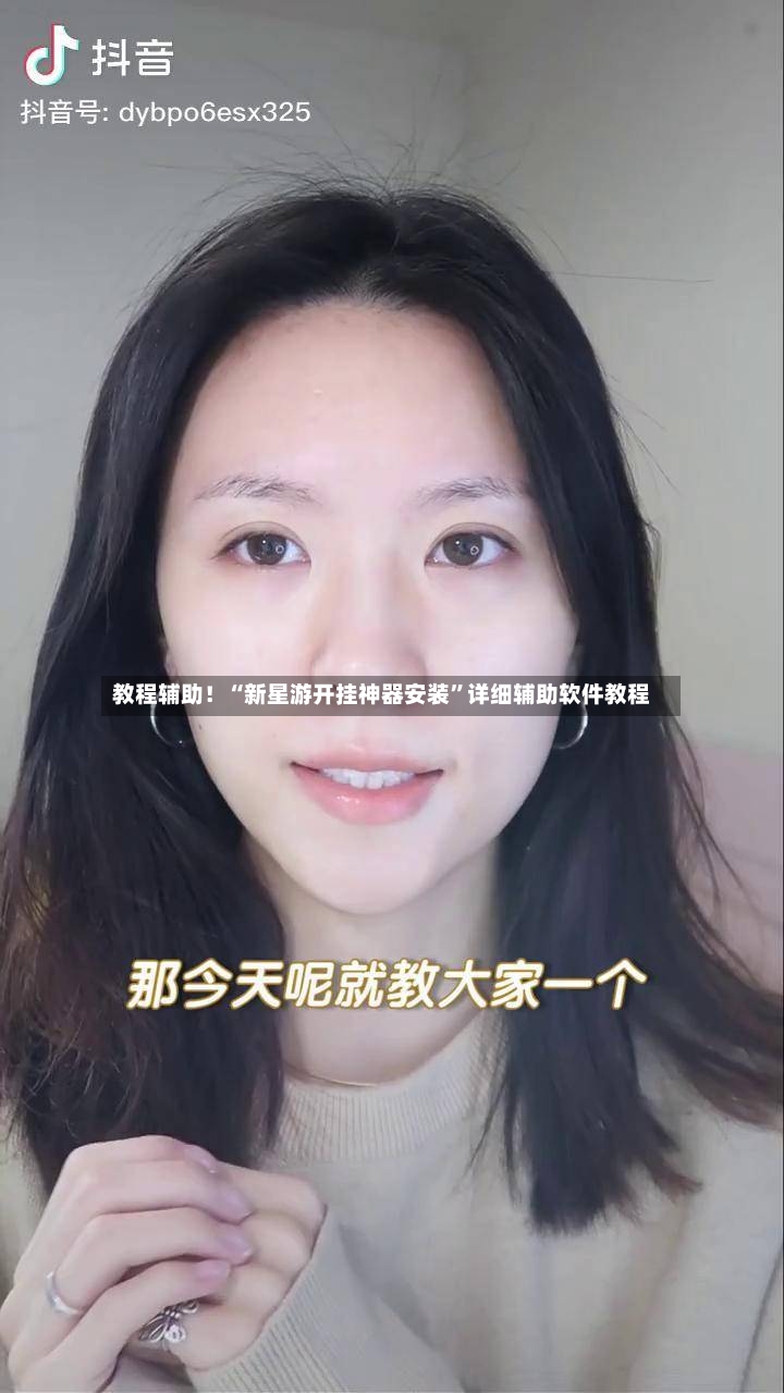 教程辅助！“新星游开挂神器安装”详细辅助软件教程-第3张图片