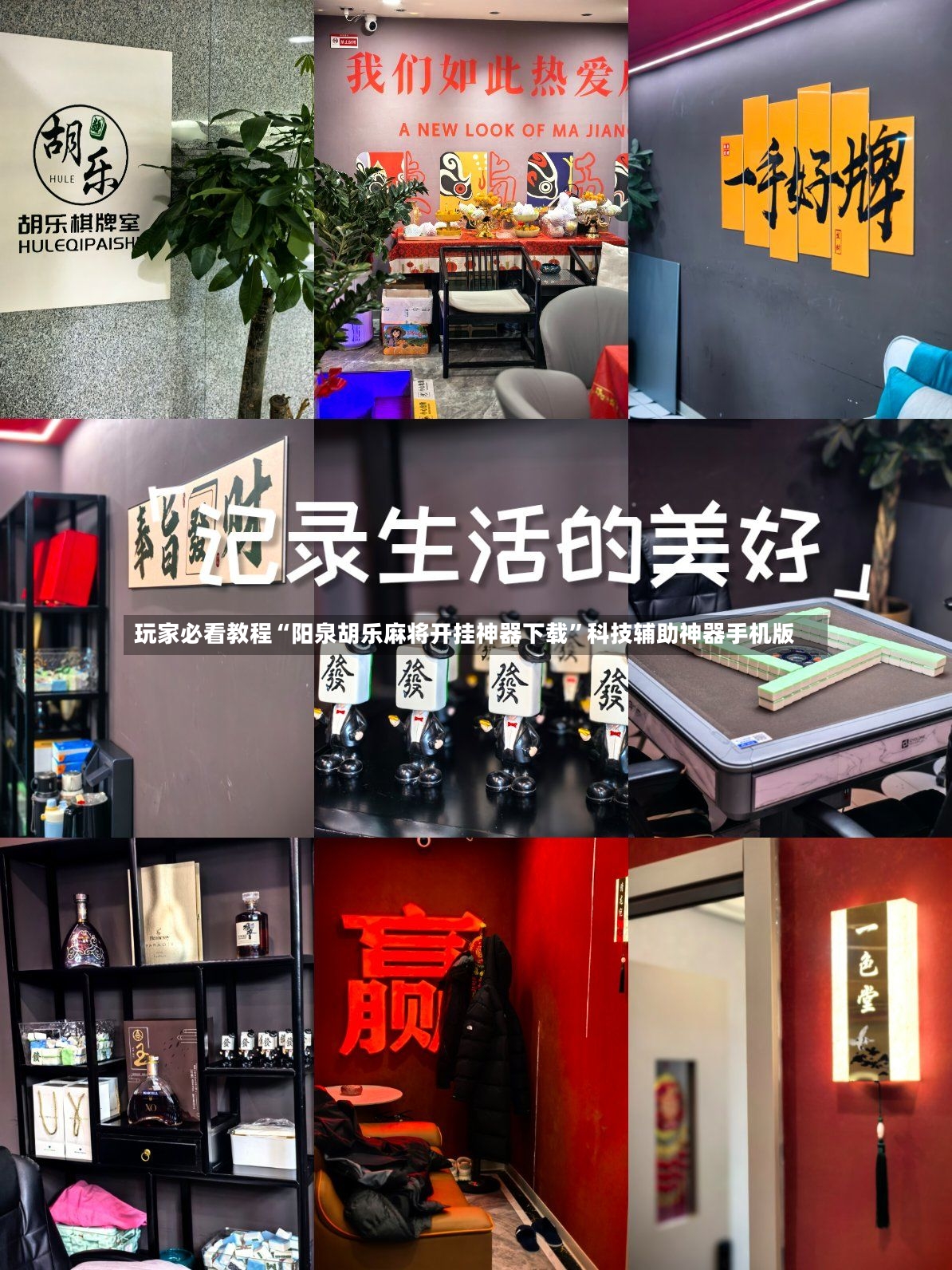 玩家必看教程“阳泉胡乐麻将开挂神器下载”科技辅助神器手机版-第2张图片