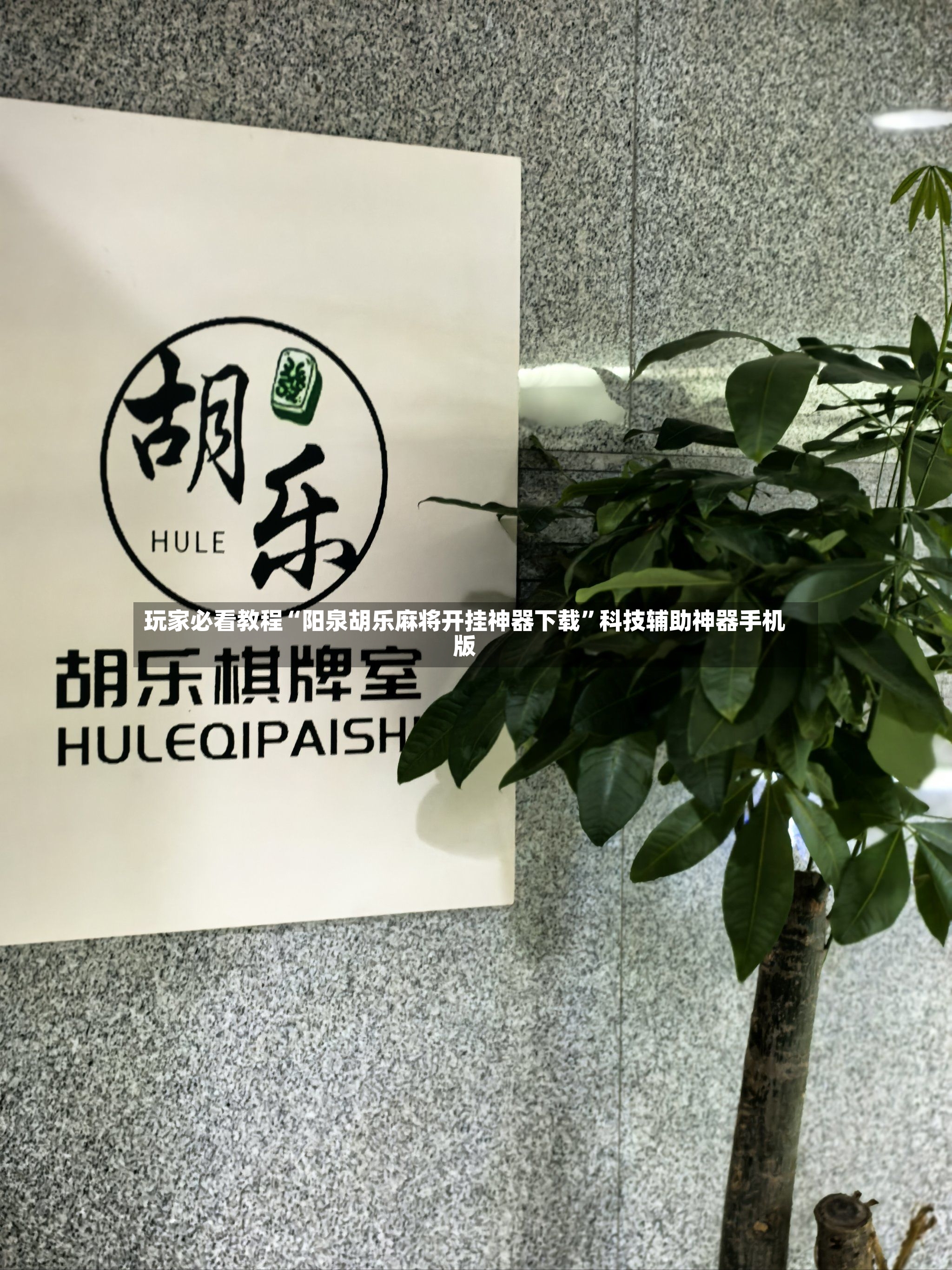玩家必看教程“阳泉胡乐麻将开挂神器下载”科技辅助神器手机版-第3张图片