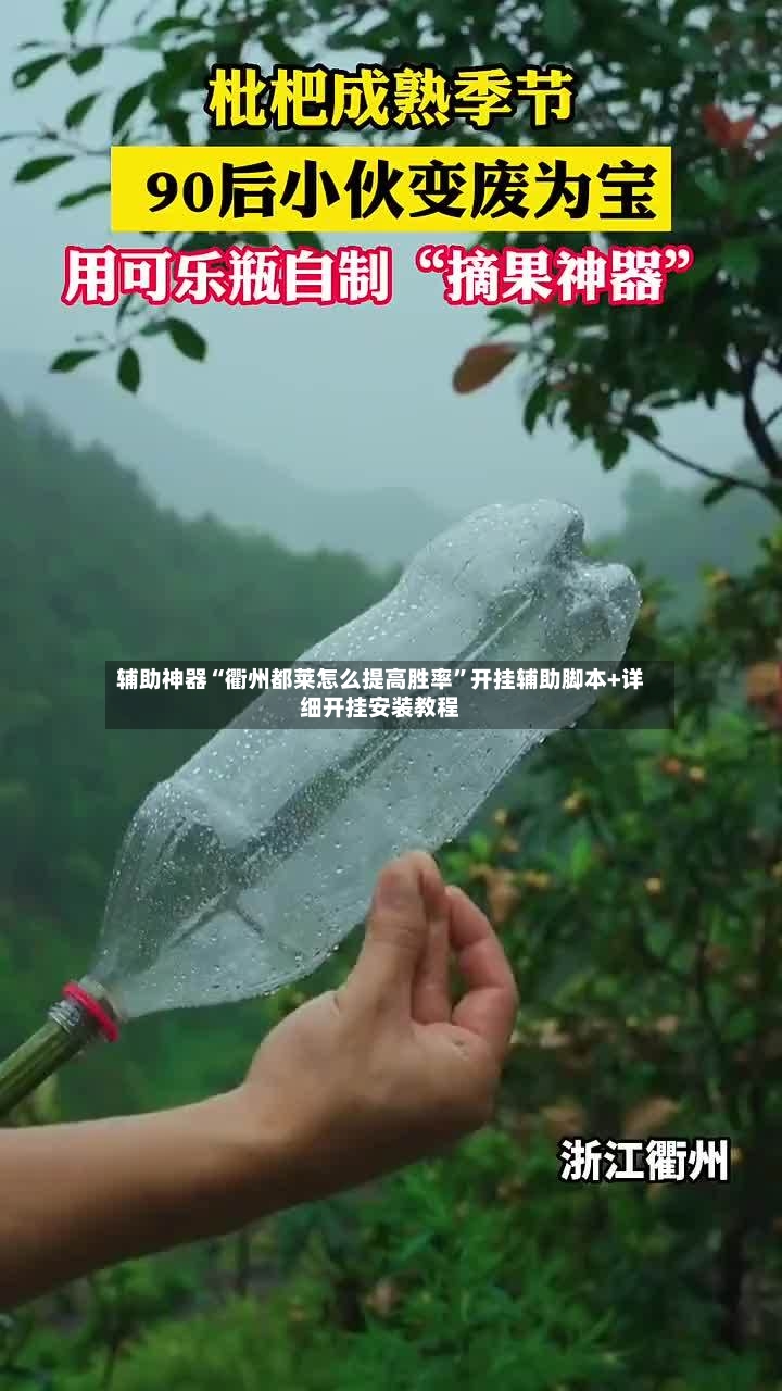 辅助神器“衢州都莱怎么提高胜率”开挂辅助脚本+详细开挂安装教程-第3张图片
