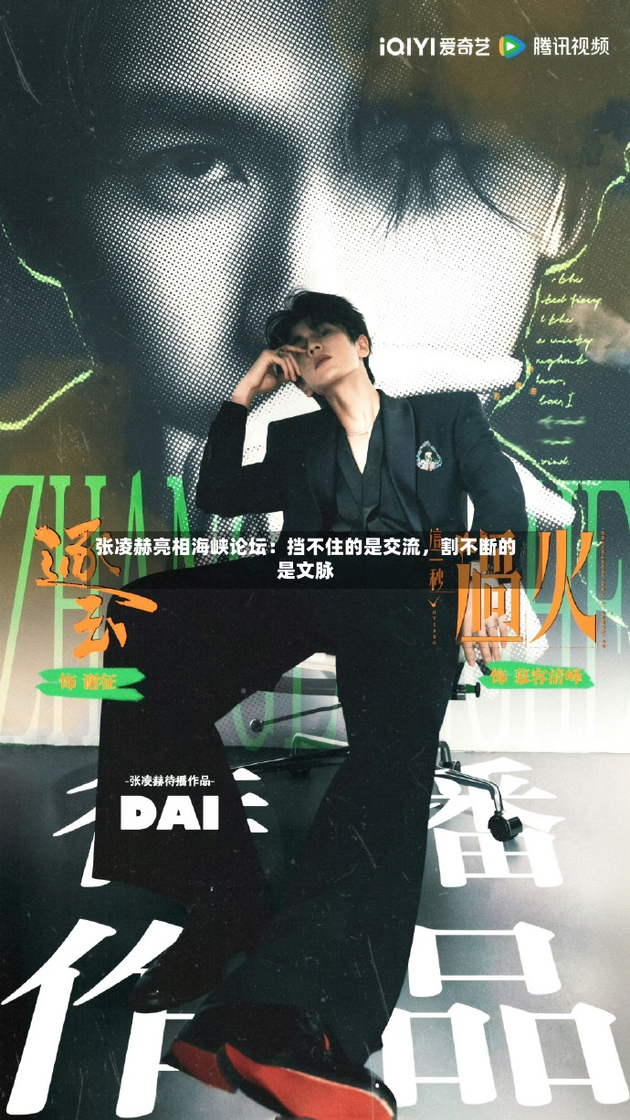 张凌赫亮相海峡论坛：挡不住的是交流，割不断的是文脉-第3张图片