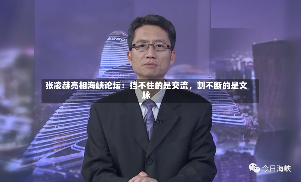 张凌赫亮相海峡论坛：挡不住的是交流，割不断的是文脉-第2张图片