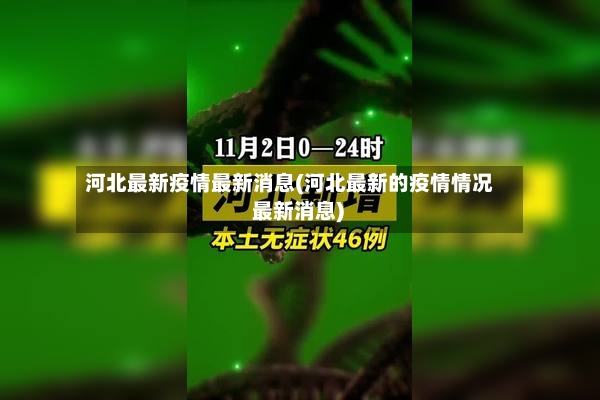 河北最新疫情最新消息(河北最新的疫情情况 最新消息)