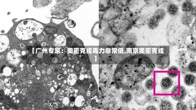 【广州专家:奥密克戎毒力非常低,南京奥密克戎】-第3张图片