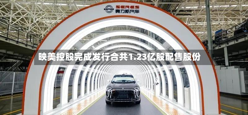 映美控股完成发行合共1.23亿股配售股份