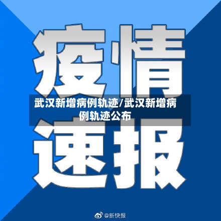 武汉新增病例轨迹/武汉新增病例轨迹公布