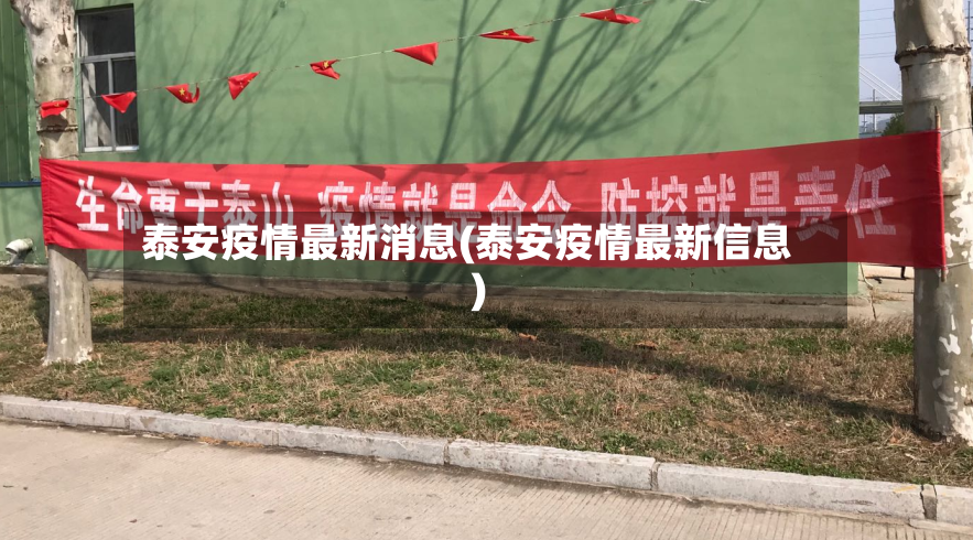 泰安疫情最新消息(泰安疫情最新信息)