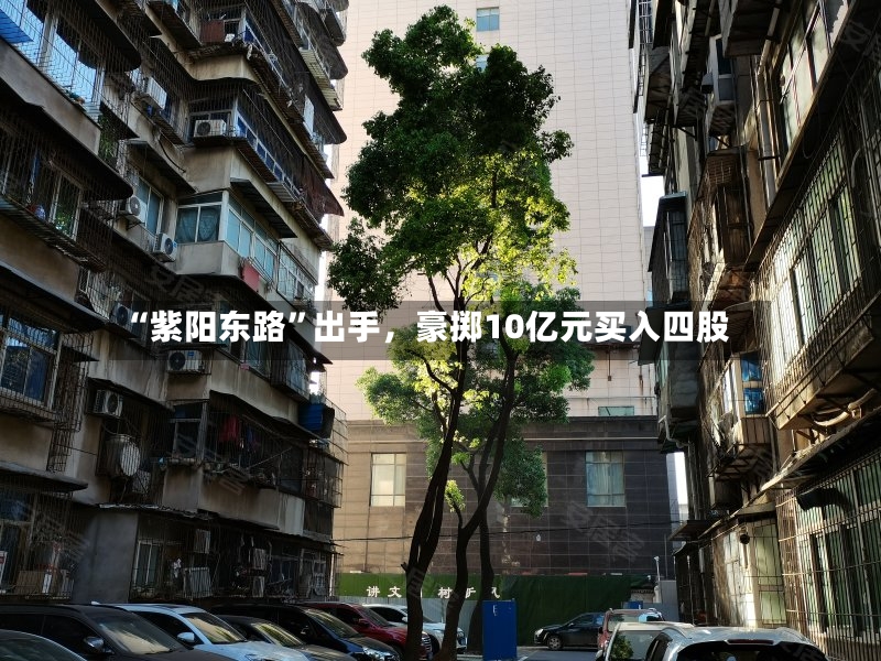 “紫阳东路”出手，豪掷10亿元买入四股-第3张图片