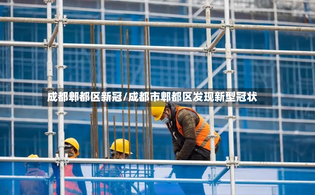 成都郫都区新冠/成都市郫都区发现新型冠状-第2张图片