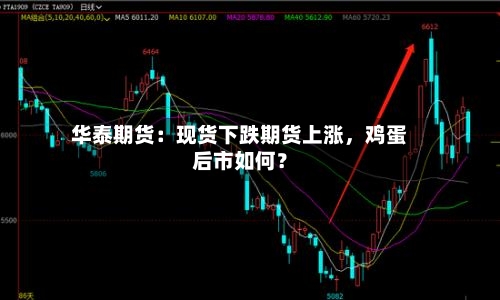 华泰期货：现货下跌期货上涨，鸡蛋后市如何？