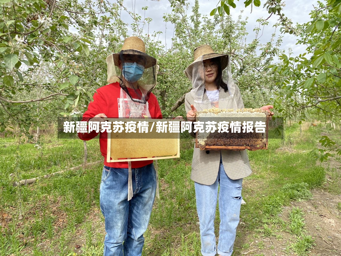 新疆阿克苏疫情/新疆阿克苏疫情报告
