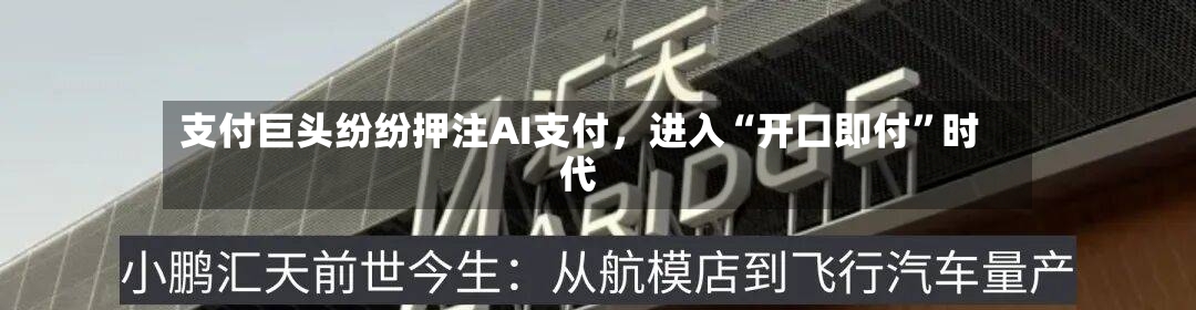 支付巨头纷纷押注AI支付	，进入“开口即付”时代-第2张图片