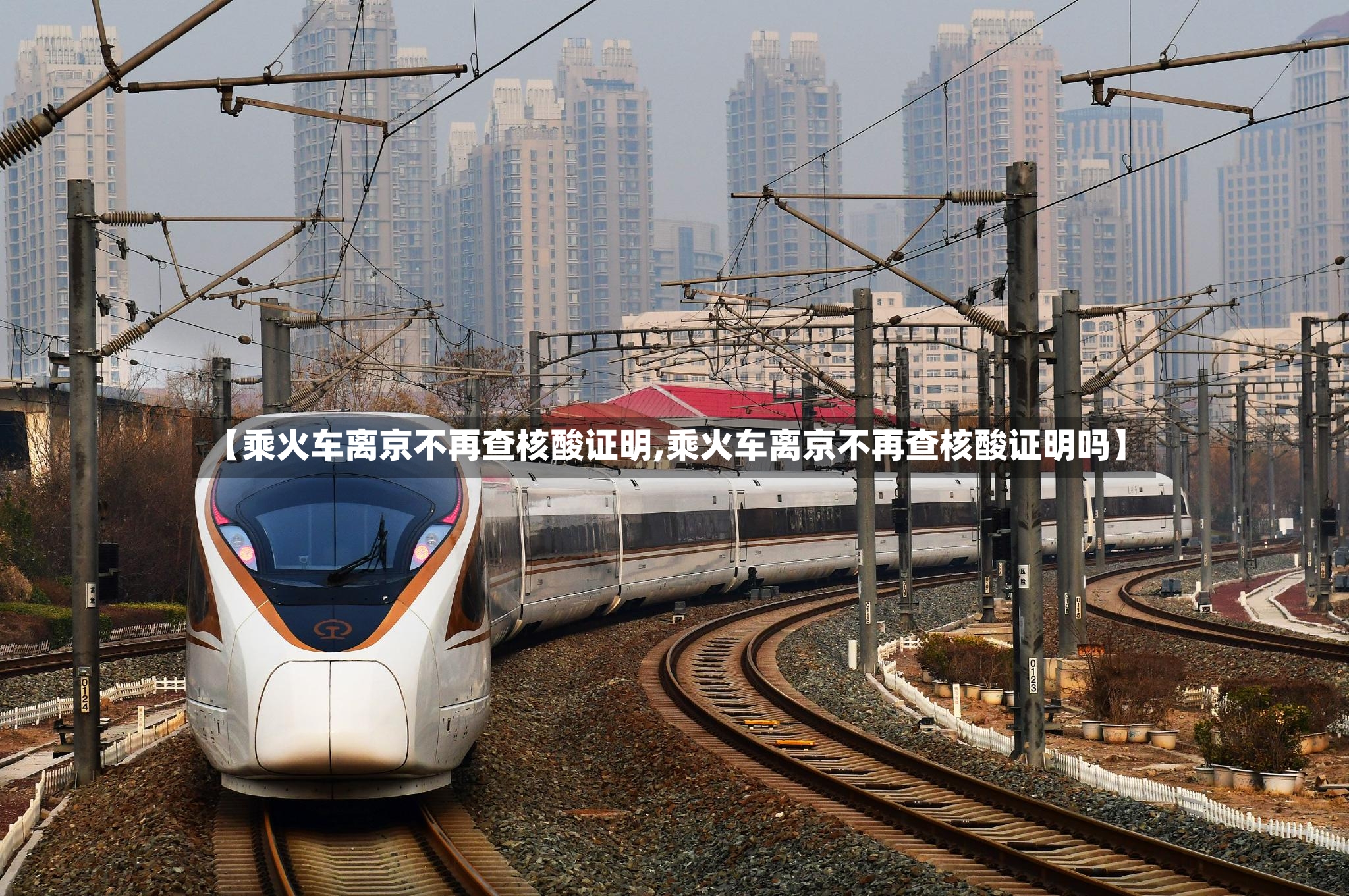 【乘火车离京不再查核酸证明,乘火车离京不再查核酸证明吗】-第2张图片
