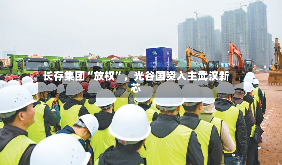 长存集团“放权	”，光谷国资入主武汉新芯-第2张图片