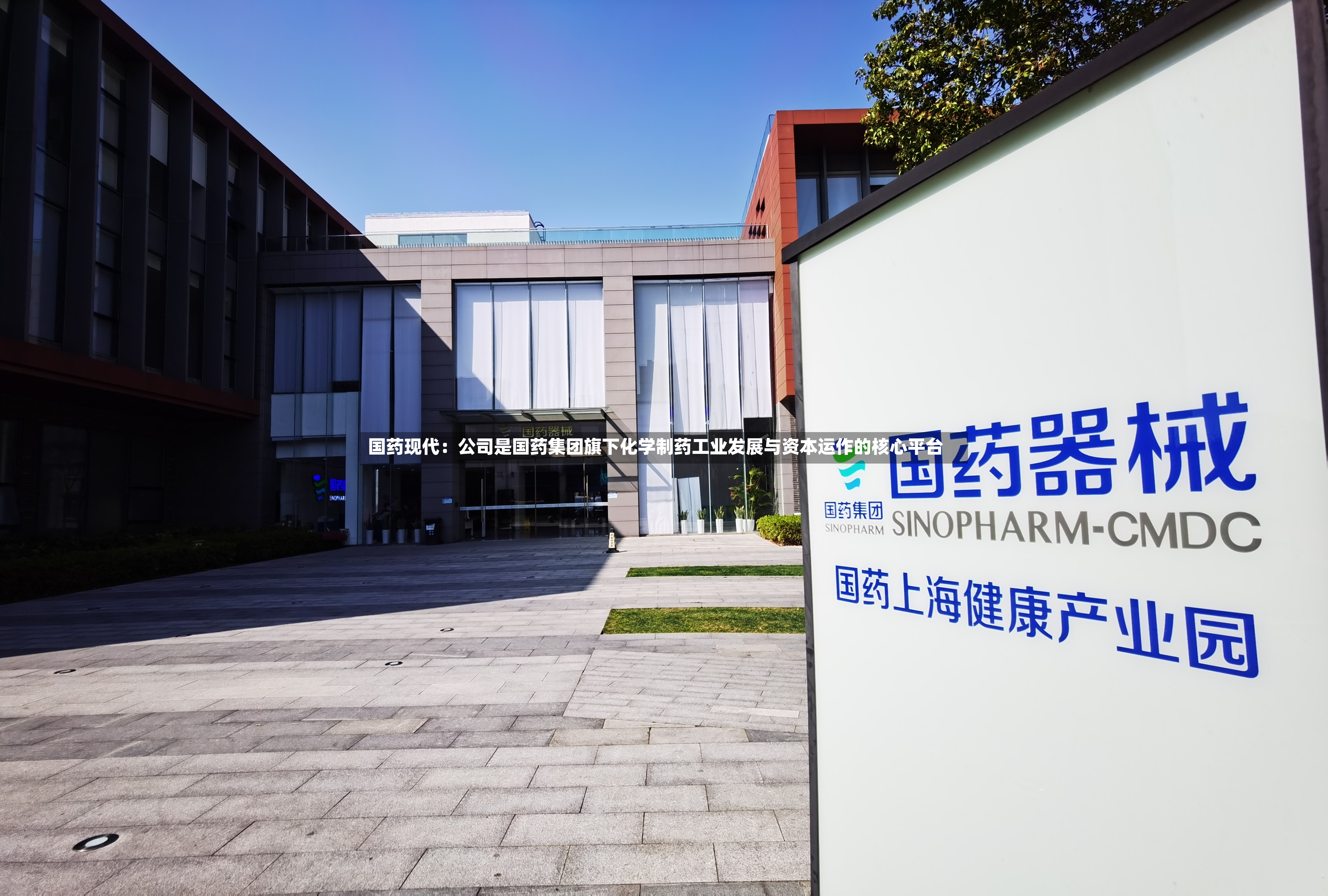 国药现代：公司是国药集团旗下化学制药工业发展与资本运作的核心平台