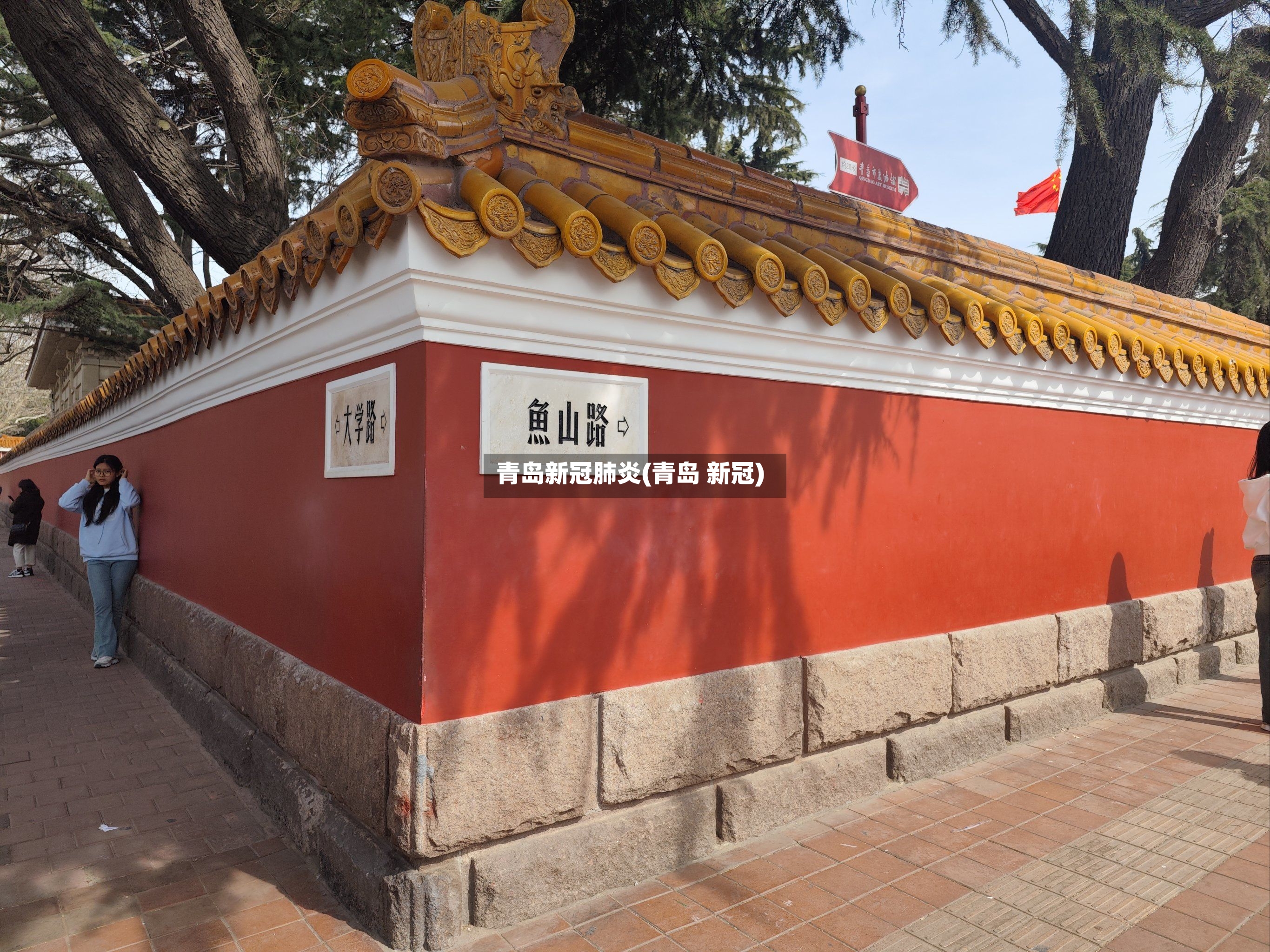 青岛新冠肺炎(青岛 新冠)
