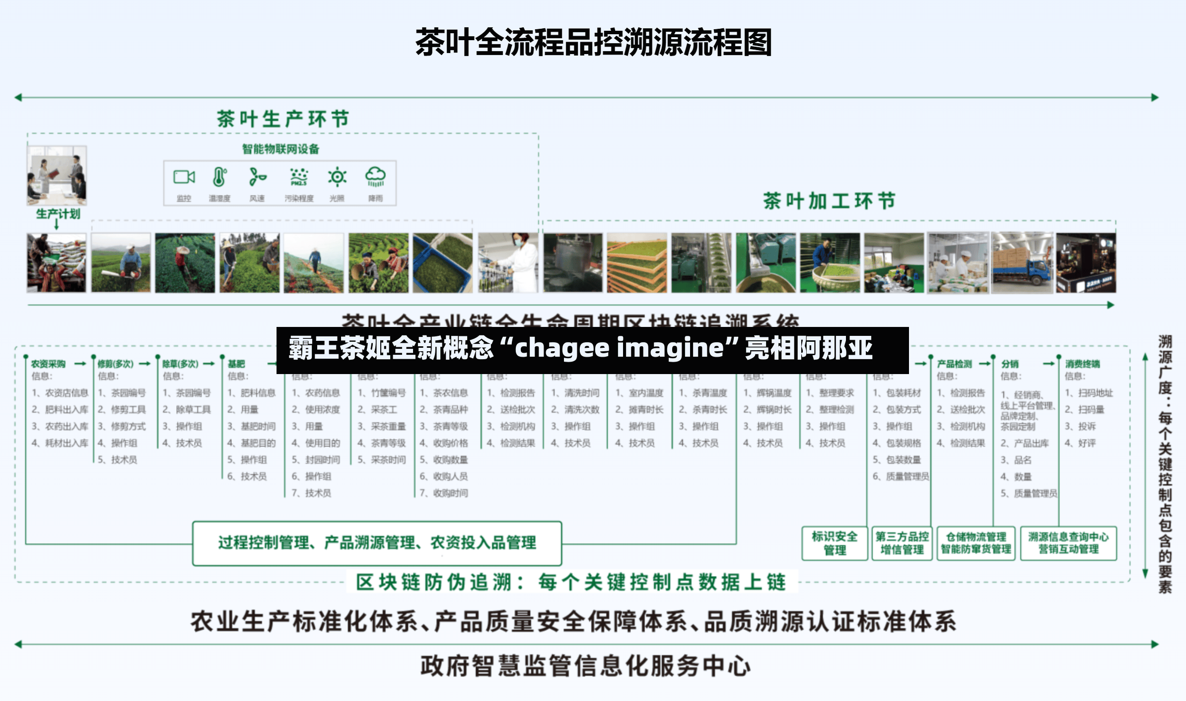 霸王茶姬全新概念“chagee imagine	”亮相阿那亚-第2张图片