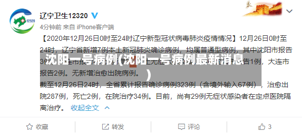 沈阳一号病例(沈阳一号病例最新消息)-第2张图片