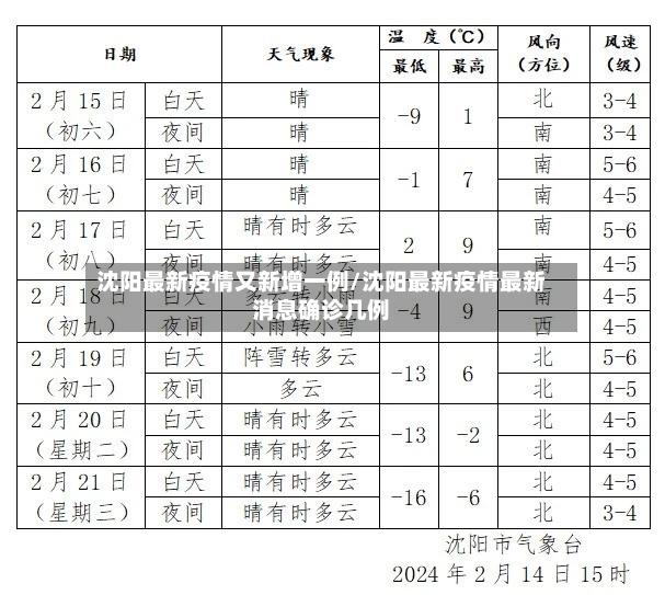 沈阳最新疫情又新增一例/沈阳最新疫情最新消息确诊几例-第2张图片