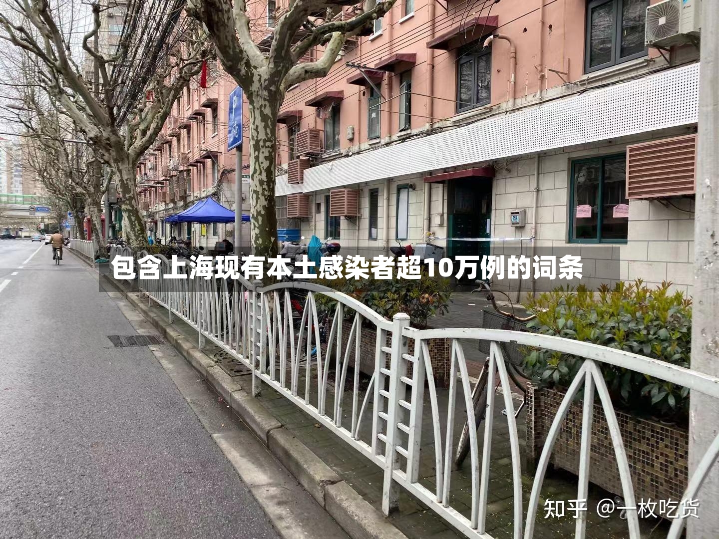 包含上海现有本土感染者超10万例的词条