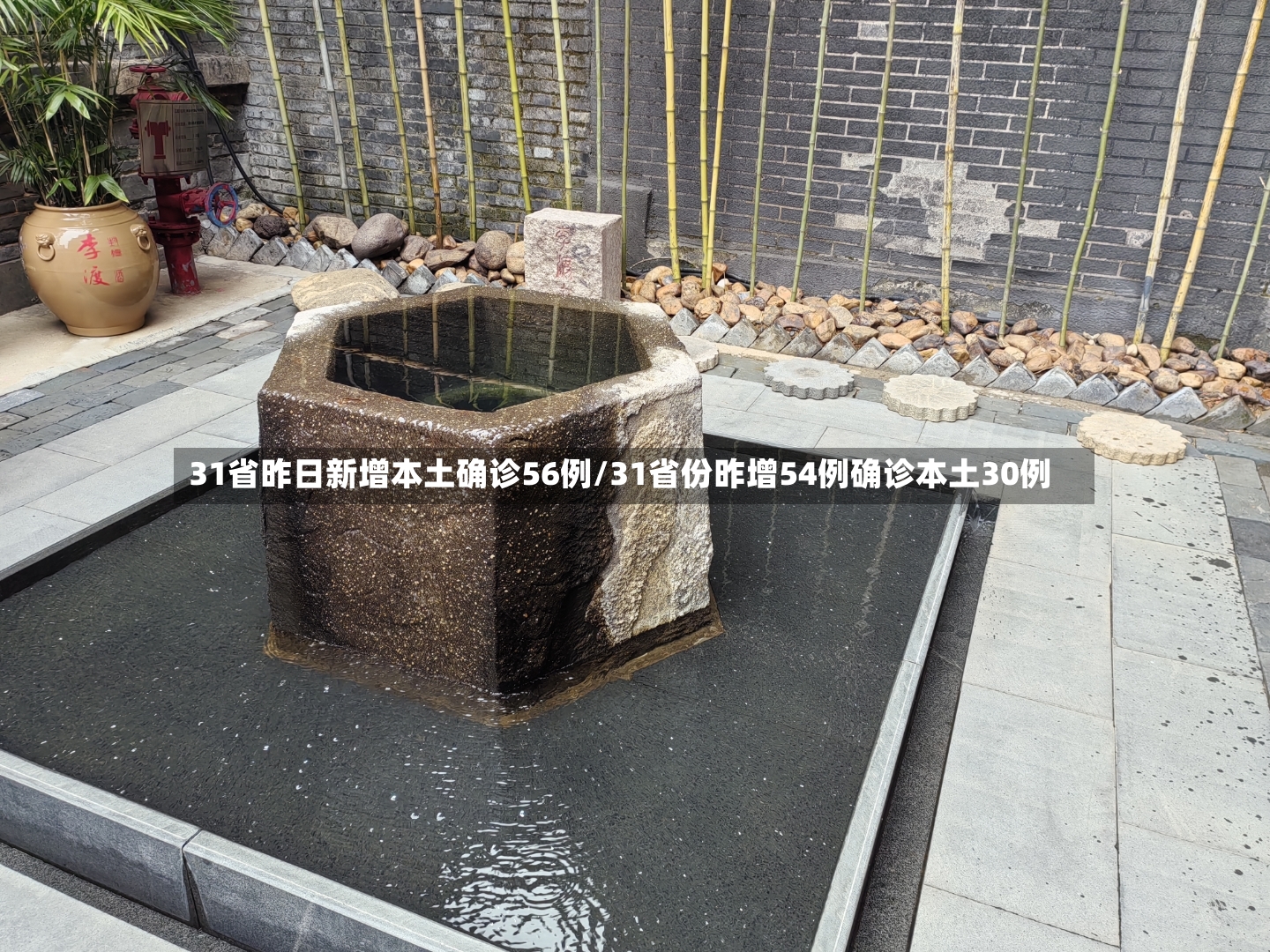 31省昨日新增本土确诊56例/31省份昨增54例确诊本土30例