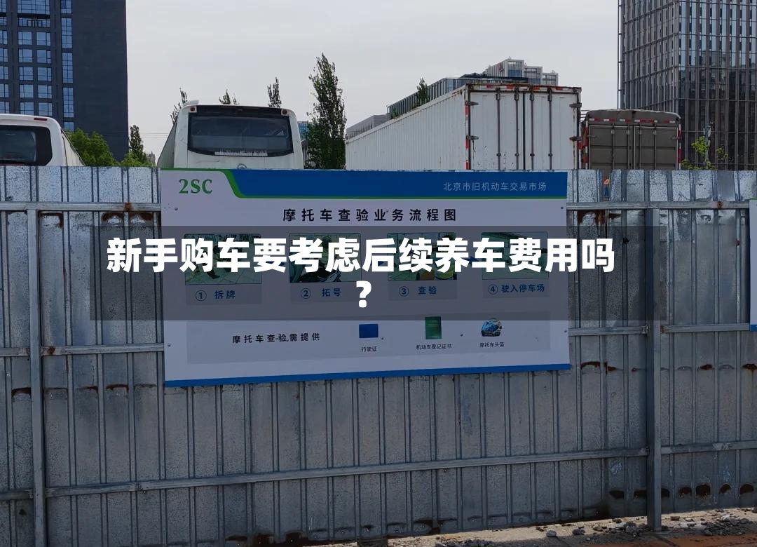 新手购车要考虑后续养车费用吗？
