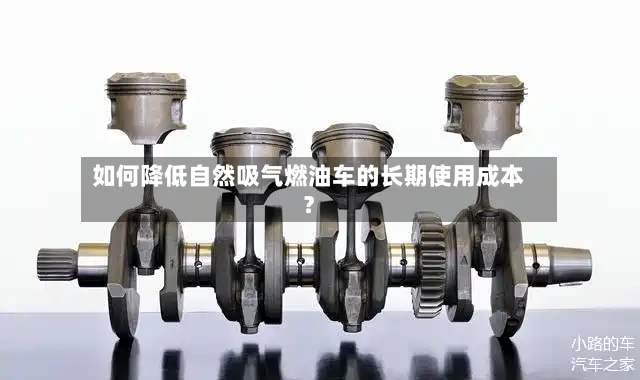 如何降低自然吸气燃油车的长期使用成本？