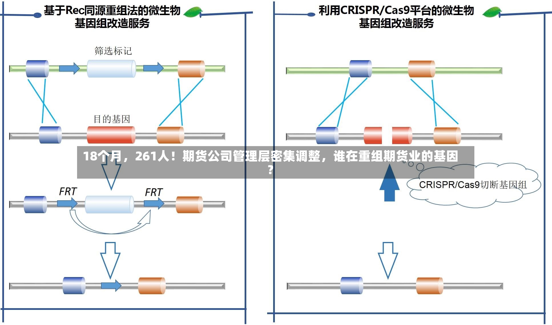 18个月，261人！期货公司管理层密集调整，谁在重组期货业的基因？-第3张图片