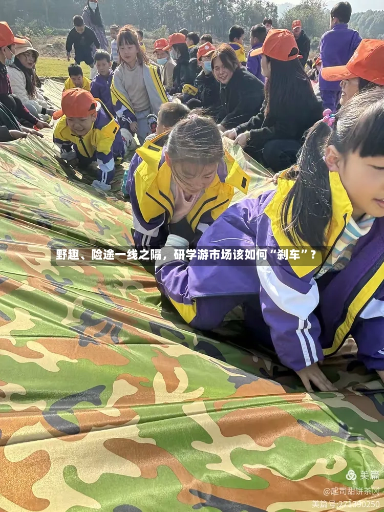 野趣、险途一线之隔	，研学游市场该如何“刹车”？-第3张图片
