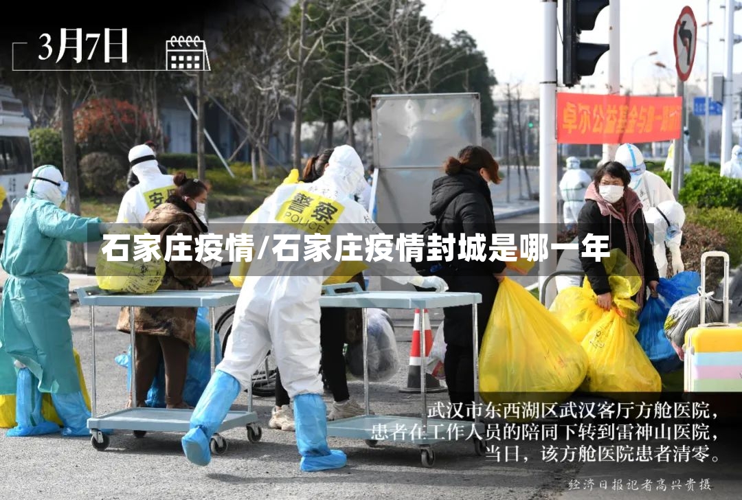 石家庄疫情/石家庄疫情封城是哪一年-第2张图片