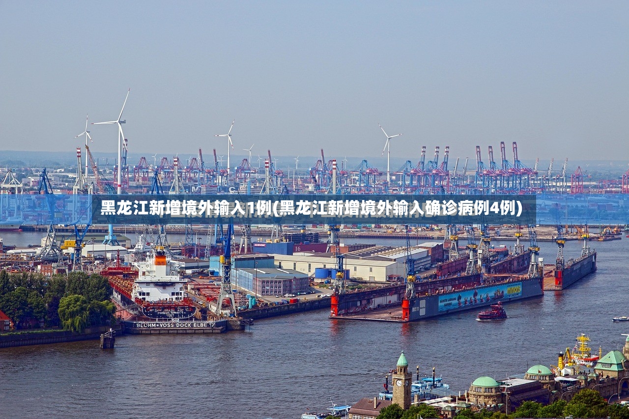 黑龙江新增境外输入1例(黑龙江新增境外输入确诊病例4例)-第2张图片