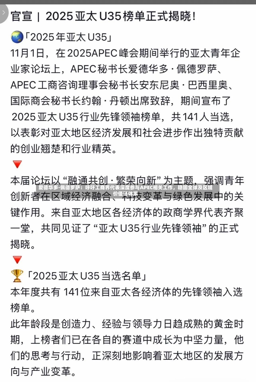 爱德华多·佩德罗萨：呼吁工商界代表深度参与APEC相关工作，稳固全球及区域价值链体系-第3张图片