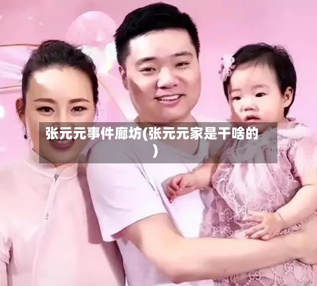 张元元事件廊坊(张元元家是干啥的)