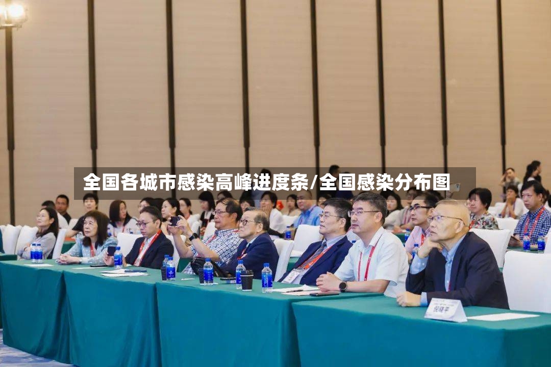 全国各城市感染高峰进度条/全国感染分布图-第2张图片
