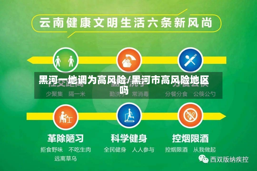 黑河一地调为高风险/黑河市高风险地区吗