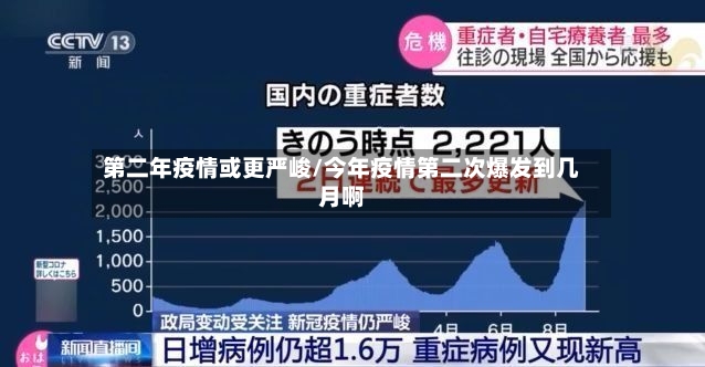 第二年疫情或更严峻/今年疫情第二次爆发到几月啊