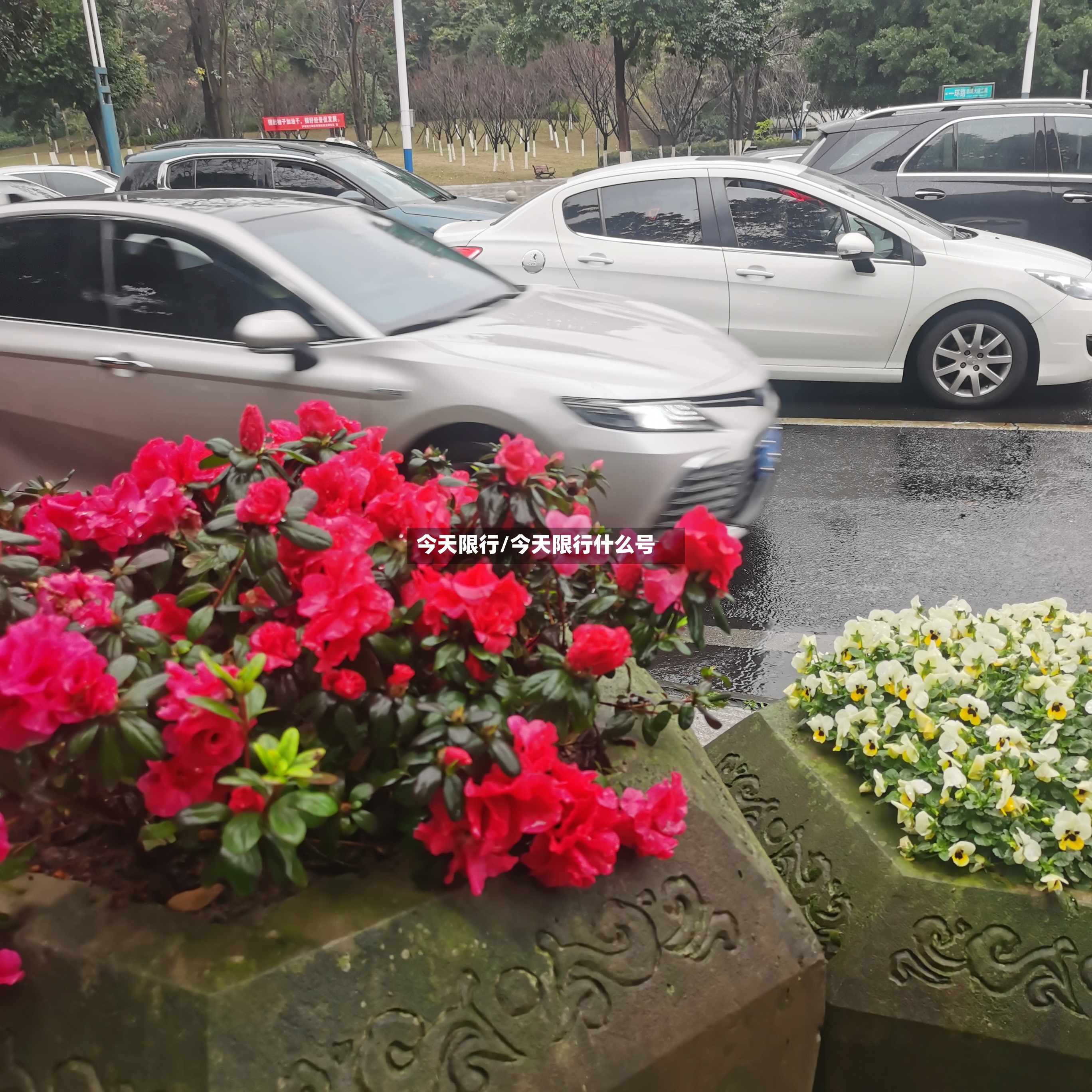 今天限行/今天限行什么号