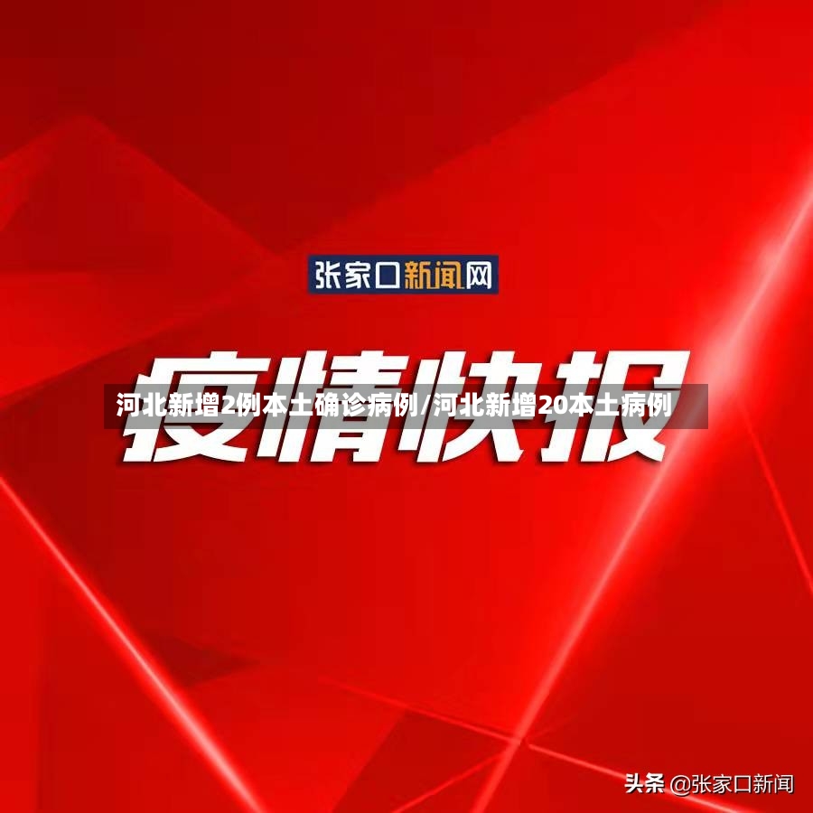 河北新增2例本土确诊病例/河北新增20本土病例-第3张图片
